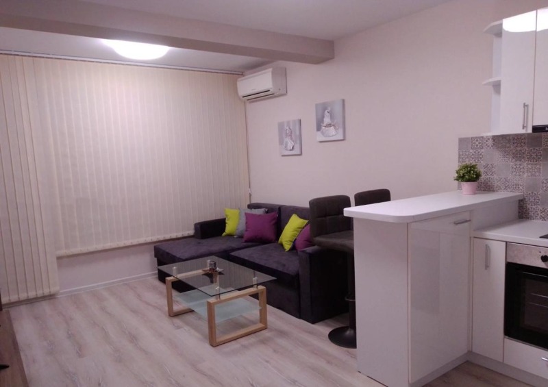 For Rent  1 bedroom Plovdiv , Kamenitsa 1 , 65 sq.m | 35231217 - image [2]