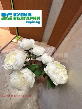    2- | Imot.bg    11