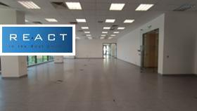 ������ ���� ��� ���� ����