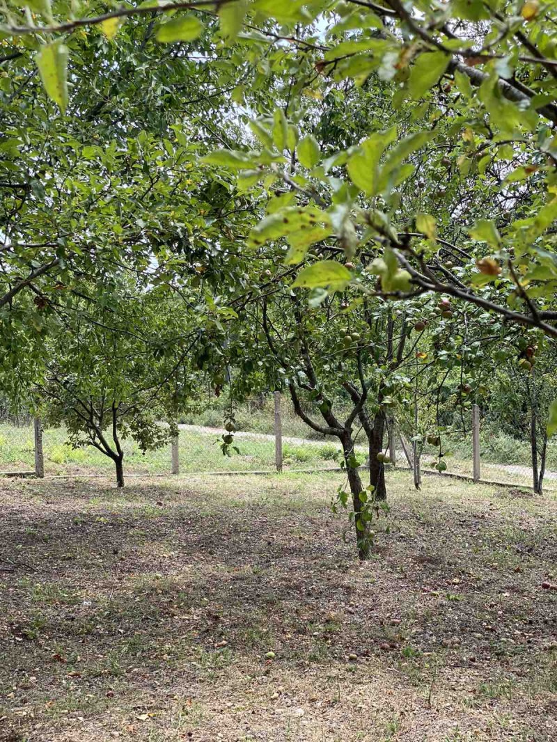 Προς ενοικίαση  Βίλα Μοντανα , β.ζ. Ζαπαδ , 10 τ.μ | 37732940 - εικόνα [17]