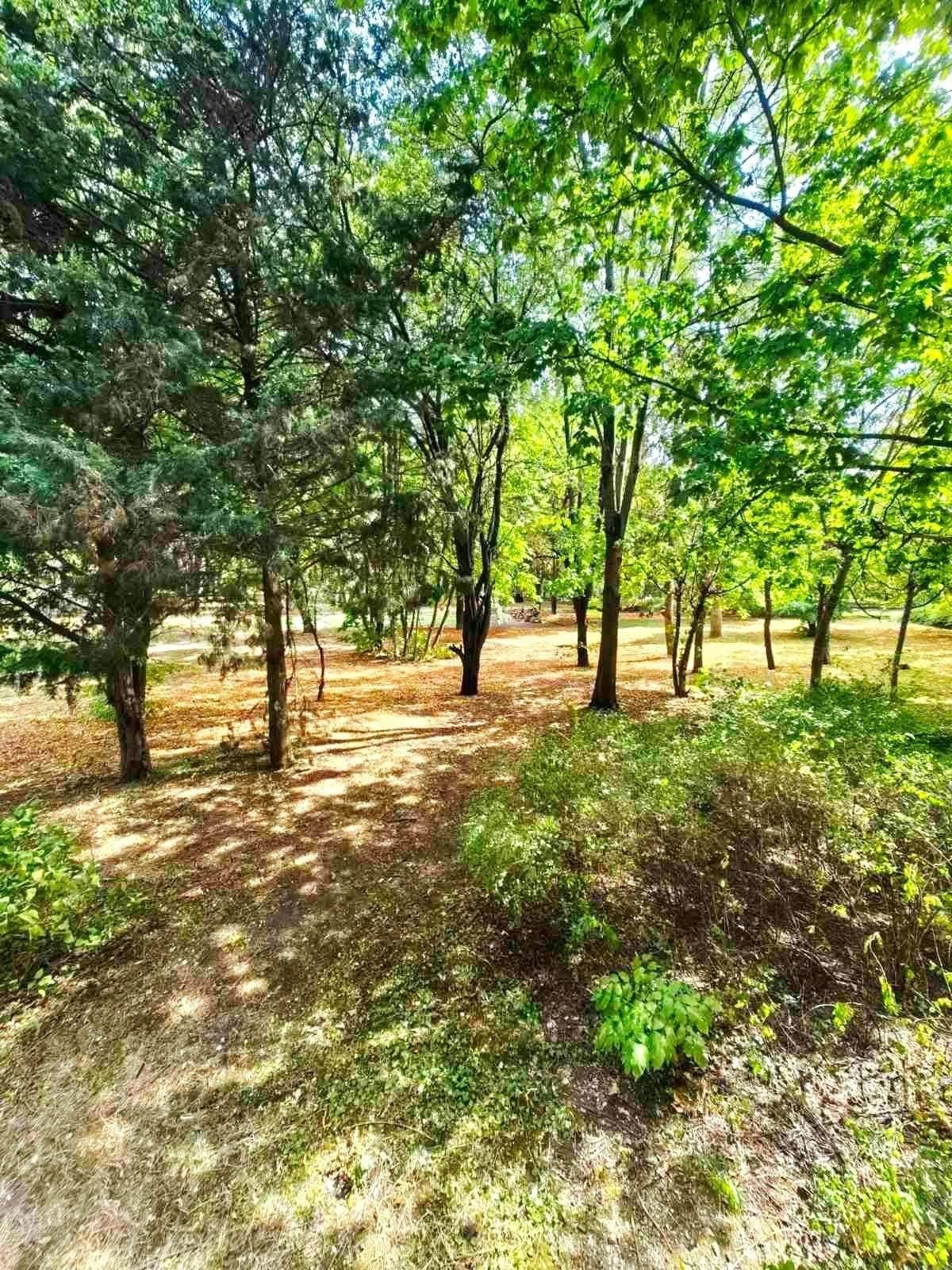 ���� ��� ���� 3-����� | Imot.bg � ����������� 10