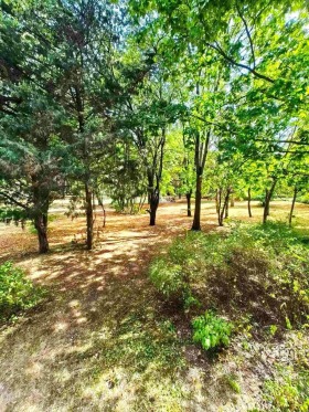 ���� ��� ���� 3-����� | Imot.bg � ����� ������ 10