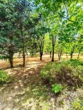 Под наем 3-СТАЕН, град София, Красно село • 650 € / 1271.29 лв. • 99295216 10