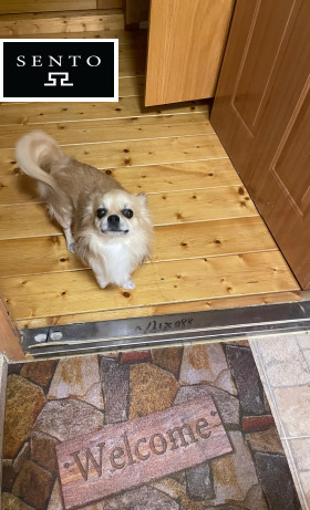 ���� ��� ���� 2-����� | Imot.bg � ����� ������ 16