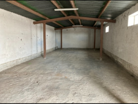 ������ ���� ��� ���� �����