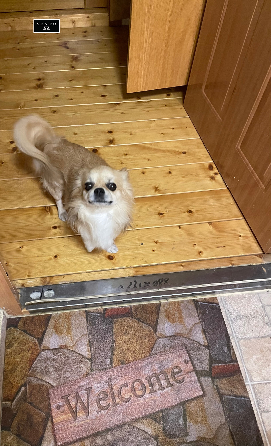 Дава под наем 2-СТАЕН, гр. Русе, Център, снимка 15 - Апартаменти - 53565520