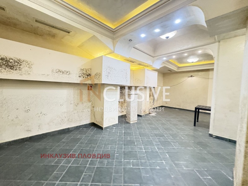 Te huur  Bar; Koffiebar Plovdiv , Tsentar , 260 m² | 72270764 - afbeelding [7]