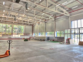 ����� ���� ��� ���� ����. ���������,���� �����, ���������