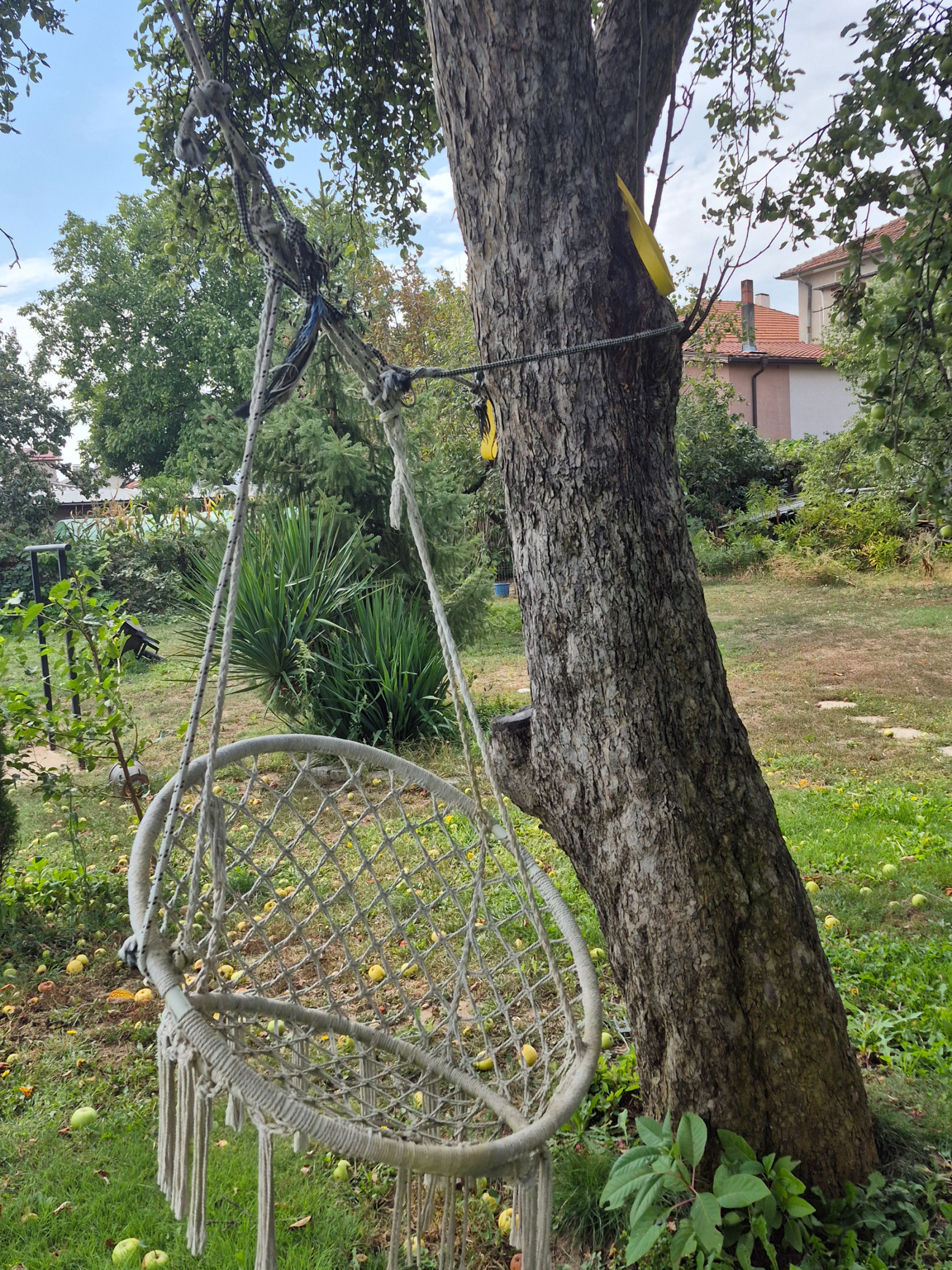 ���� ��� ���� ���� �� ���� | Imot.bg � ����������� 7