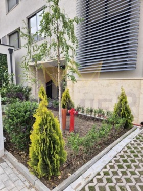 ���� ��� ���� 2-����� | Imot.bg � ����� ������ 12