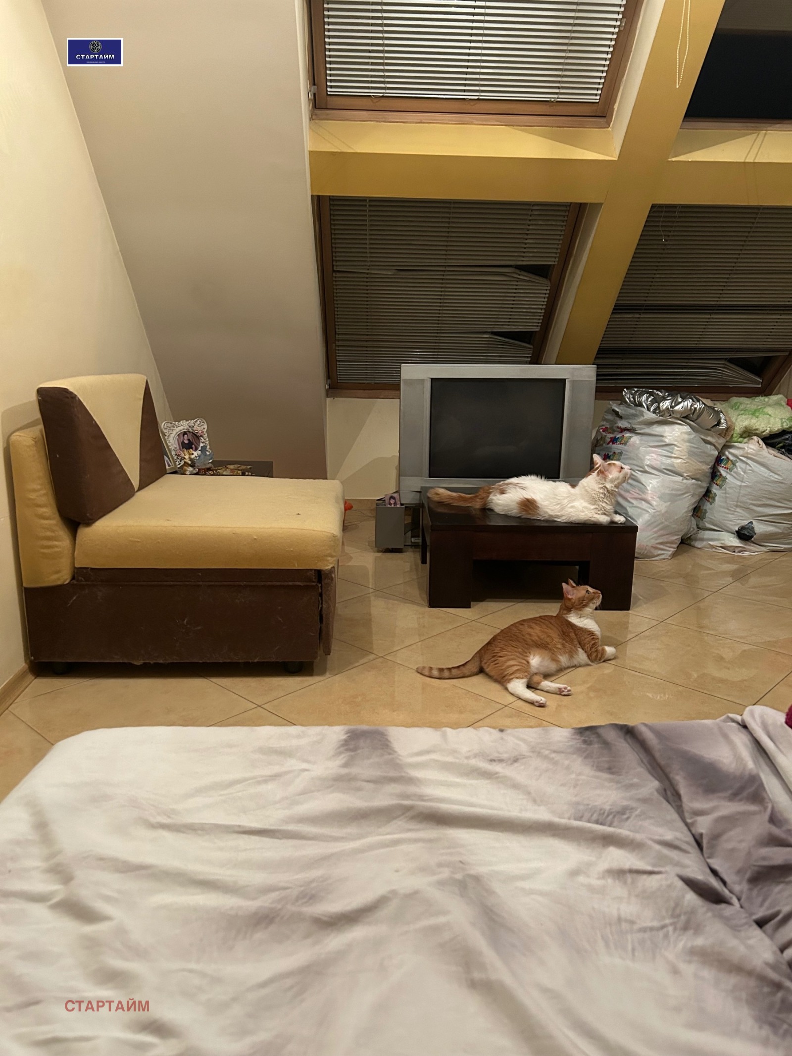 ���� ��� ���� 1-����� | Imot.bg � ����������� 7