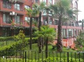 Под наем 1-СТАЕН, област Бургас, гр. Несебър • 205 € • 69312595 — Holmes.bg