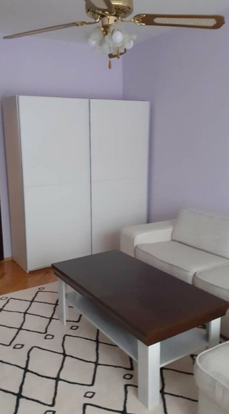 Дава под наем 2-СТАЕН, гр. София, Свобода, снимка 2 - Апартаменти - 54047512