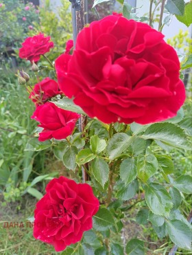 ���� ��� ���� ���� | Imot.bg � ����� ������ 10