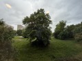 Дава под наем 2-СТАЕН, гр. София, Младост 3, снимка 7