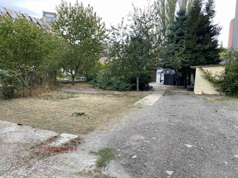 Do wynajęcia  Składowanie Sofia , Borowo , 252 mkw | 81107624