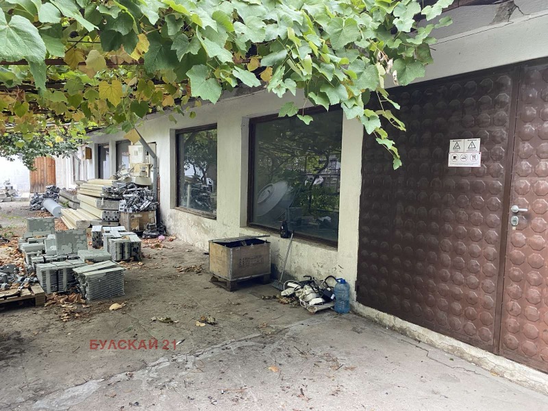 Do wynajęcia  Składowanie Sofia , Borowo , 252 mkw | 81107624 - obraz [2]