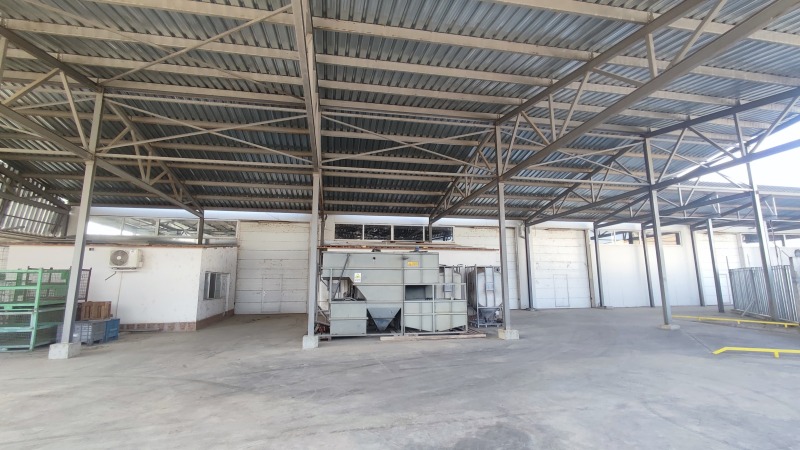 Дава под наем ПРОМ. ПОМЕЩЕНИЕ, гр. Брегово, област Видин, снимка 6 - Производствени сгради - 52781349