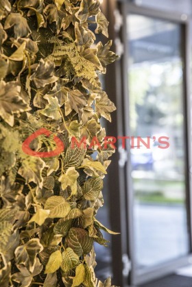 ���� ��� ���� 3-����� | Imot.bg � ����� ������ 16