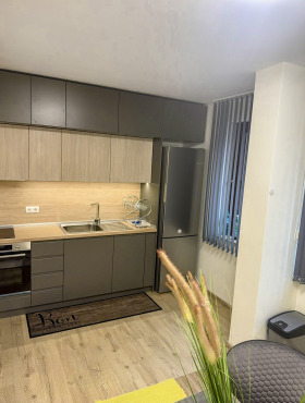 1 bedroom Hipodruma, Sofia 7