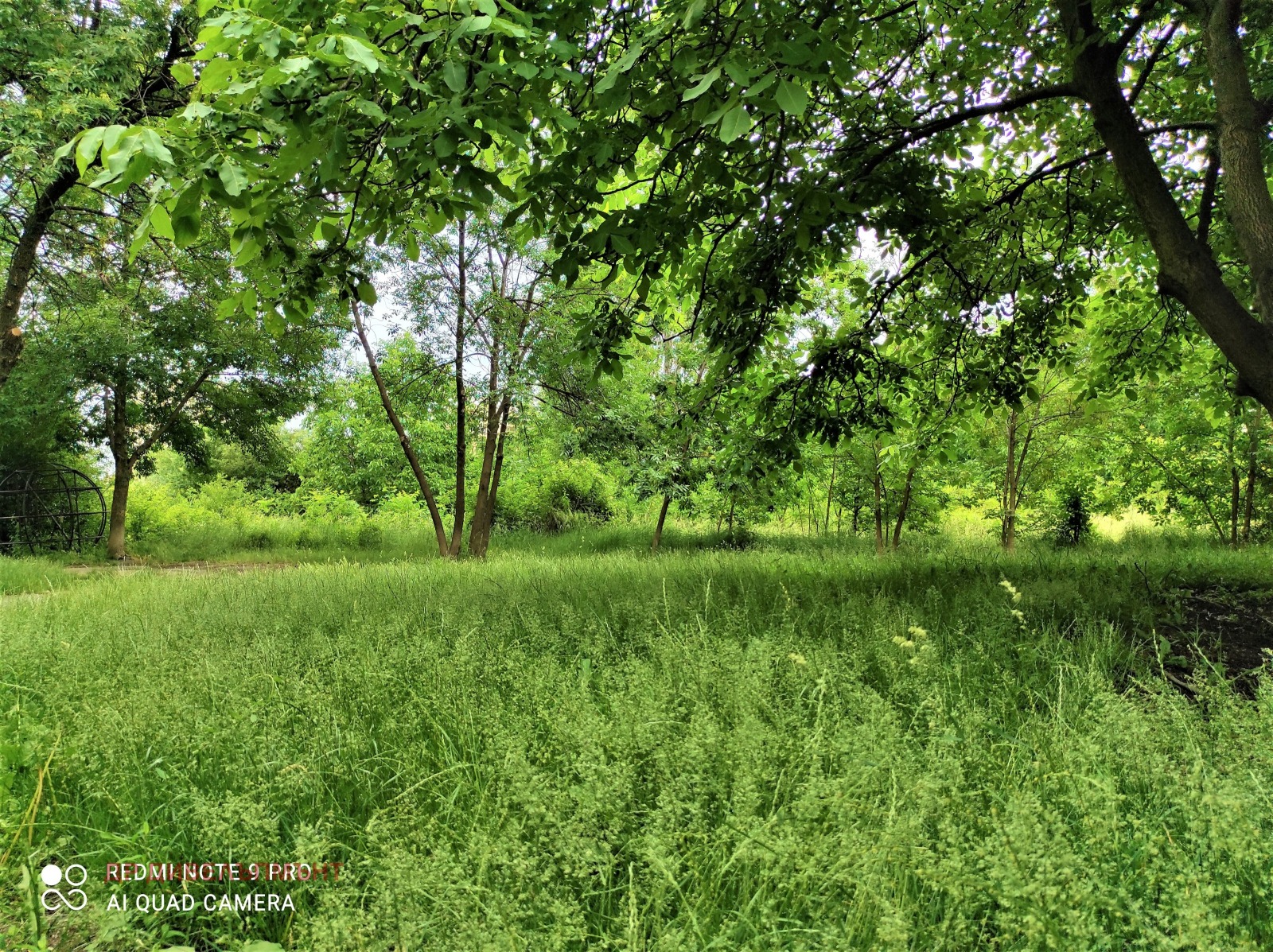 ���� ��� ���� 1-����� | Imot.bg � ����������� 15