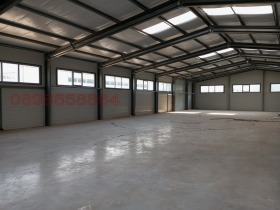 ������ ���� ��� ���� �����