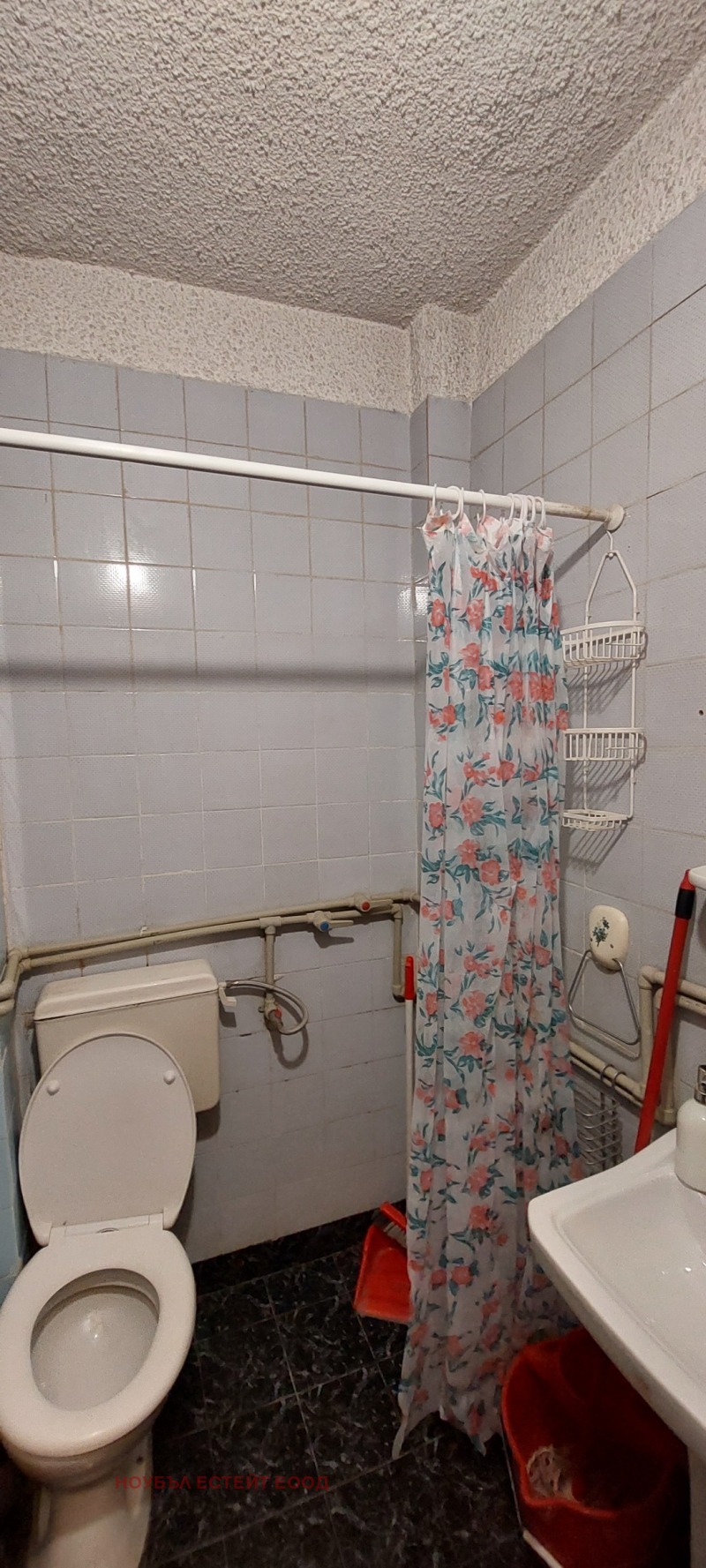 Zu vermieten  Studio Sofia , Zentar , 40 qm | 52423031 - Bild [4]