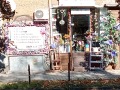 Под наем МАГАЗИН, град София, Център • 440 € / 860.57 лв. • 82143844 5