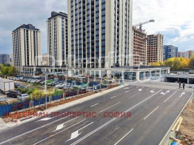 ����� ���� ��� ���� �������,���� �����, ��������