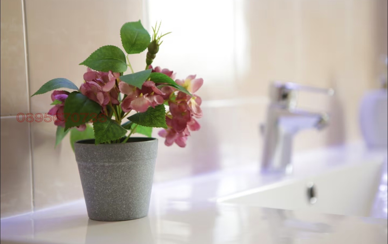 ���� ��� ���� 1-����� | Imot.bg � ����������� 8