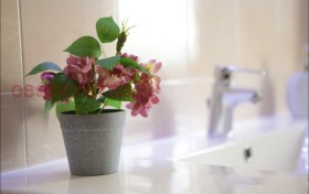 ���� ��� ���� 1-����� | Imot.bg � ����� ������ 8