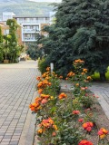 Под наем 3-СТАЕН, град София, Манастирски ливади • 950 € • 63752617 — Holmes.bg