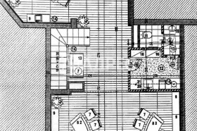 ������ ���� ��� ���� �������