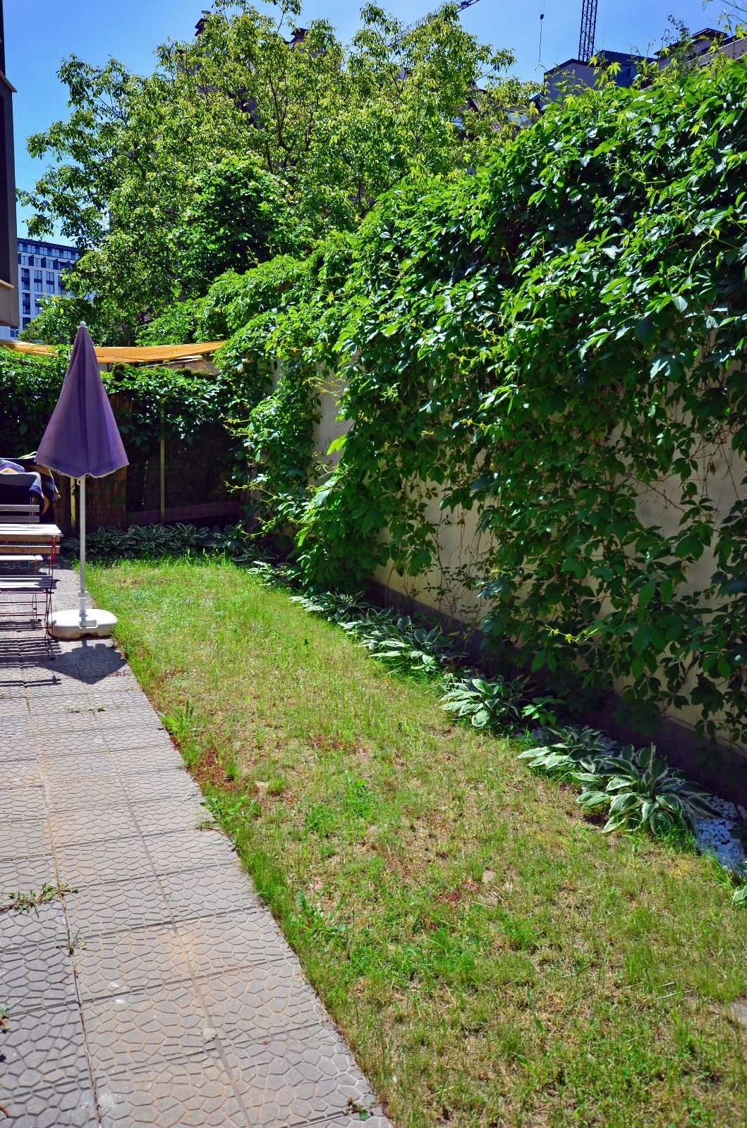 ���� ��� ���� 3-����� | Imot.bg � ����������� 8