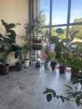 Дава под наем 3-СТАЕН, гр. София, Овча купел 1, снимка 7