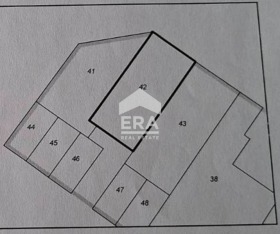 ������ ���� ��� ���� �������