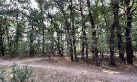 ���� ��� ���� 2-����� | Imot.bg � ����� ������ 13