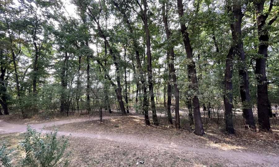 Дава под наем 2-СТАЕН, гр. София, Лозенец, снимка 13 - Апартаменти - 54004904