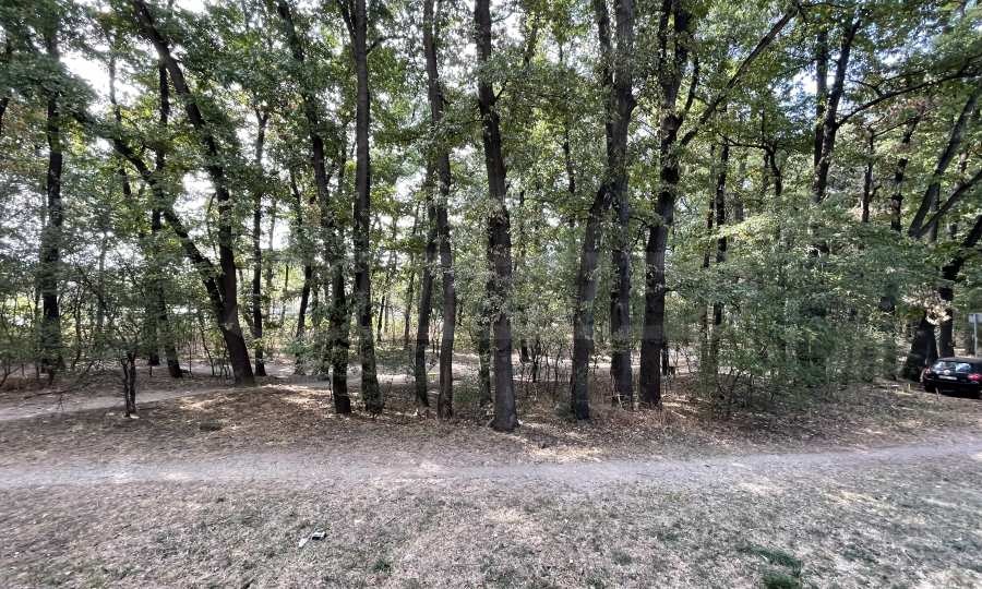 Дава под наем 2-СТАЕН, гр. София, Лозенец, снимка 16 - Апартаменти - 54004904