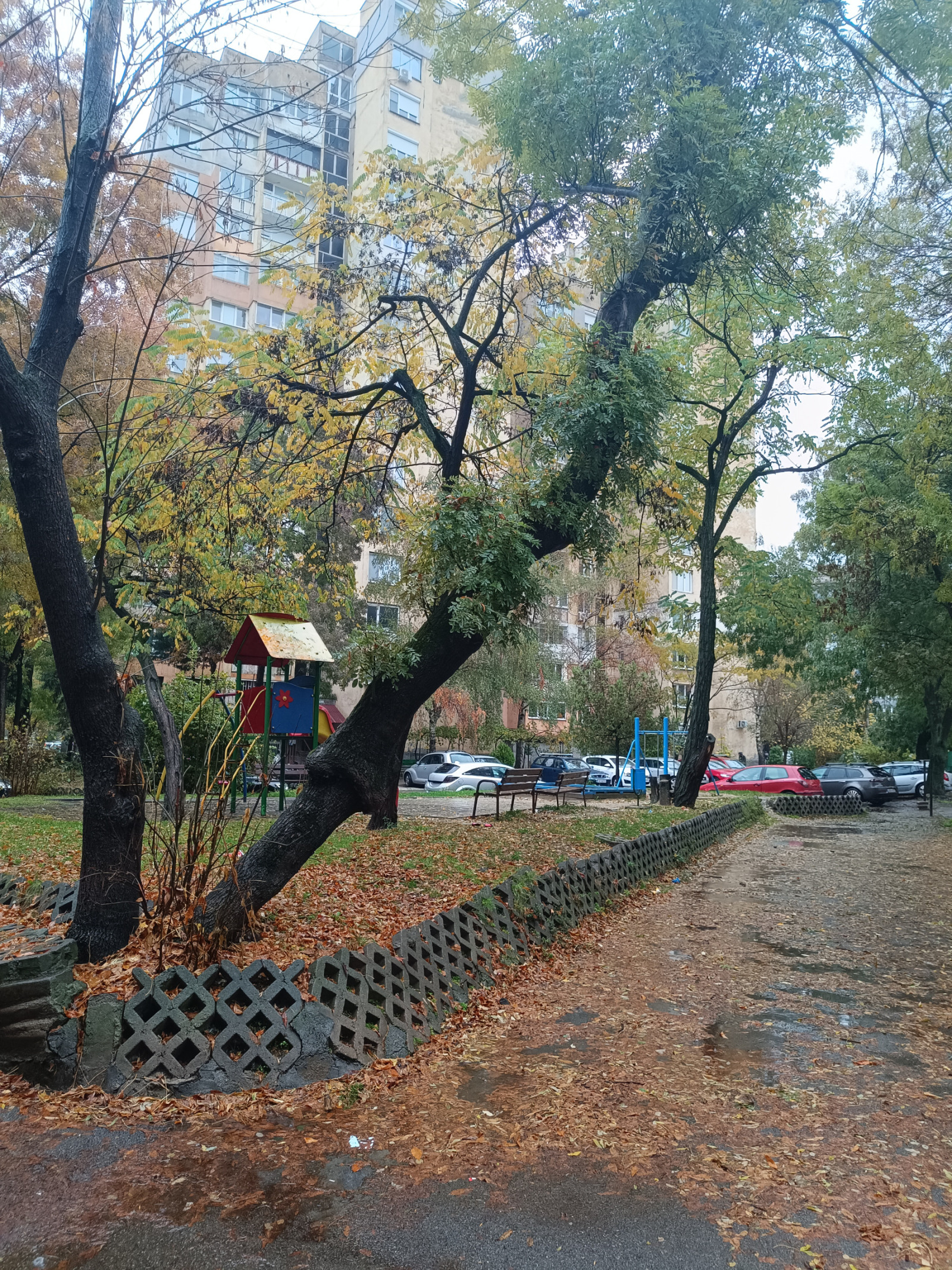 ���� ��� ���� 2-����� | Imot.bg � ����������� 16