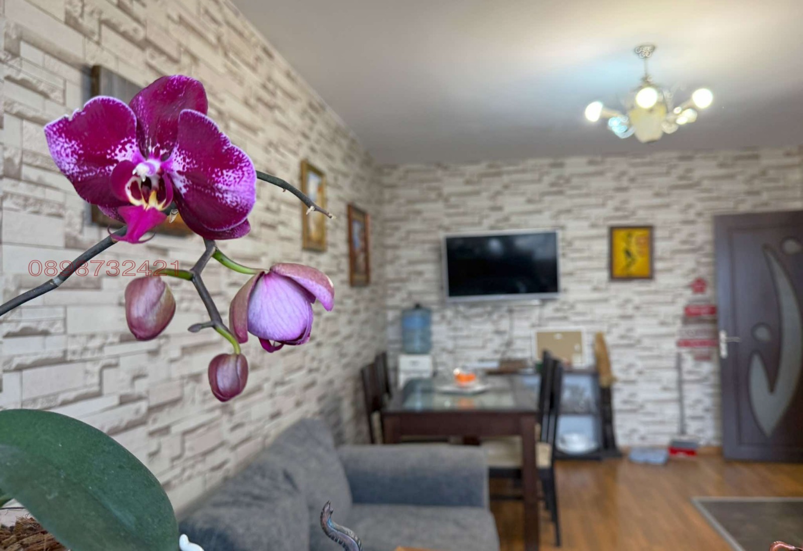 ���� ��� ���� 3-����� | Imot.bg � ����������� 1