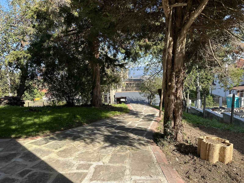 De inchiriat  Casa Sofia , Bistrița , 320 mp | 46647125 - imagine [17]
