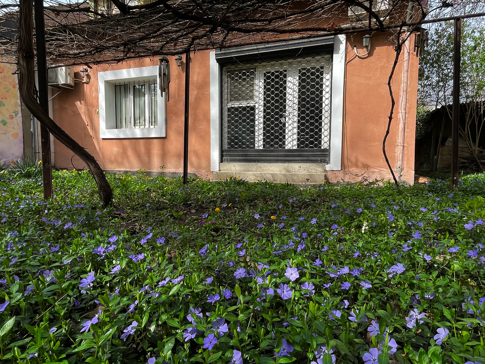 ���� ��� ���� ���� | Imot.bg � ����������� 1