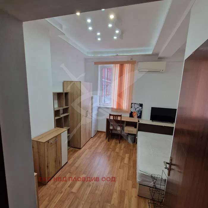 Дава под наем 2-СТАЕН, гр. Пловдив, Център, снимка 3 - Апартаменти - 55048983