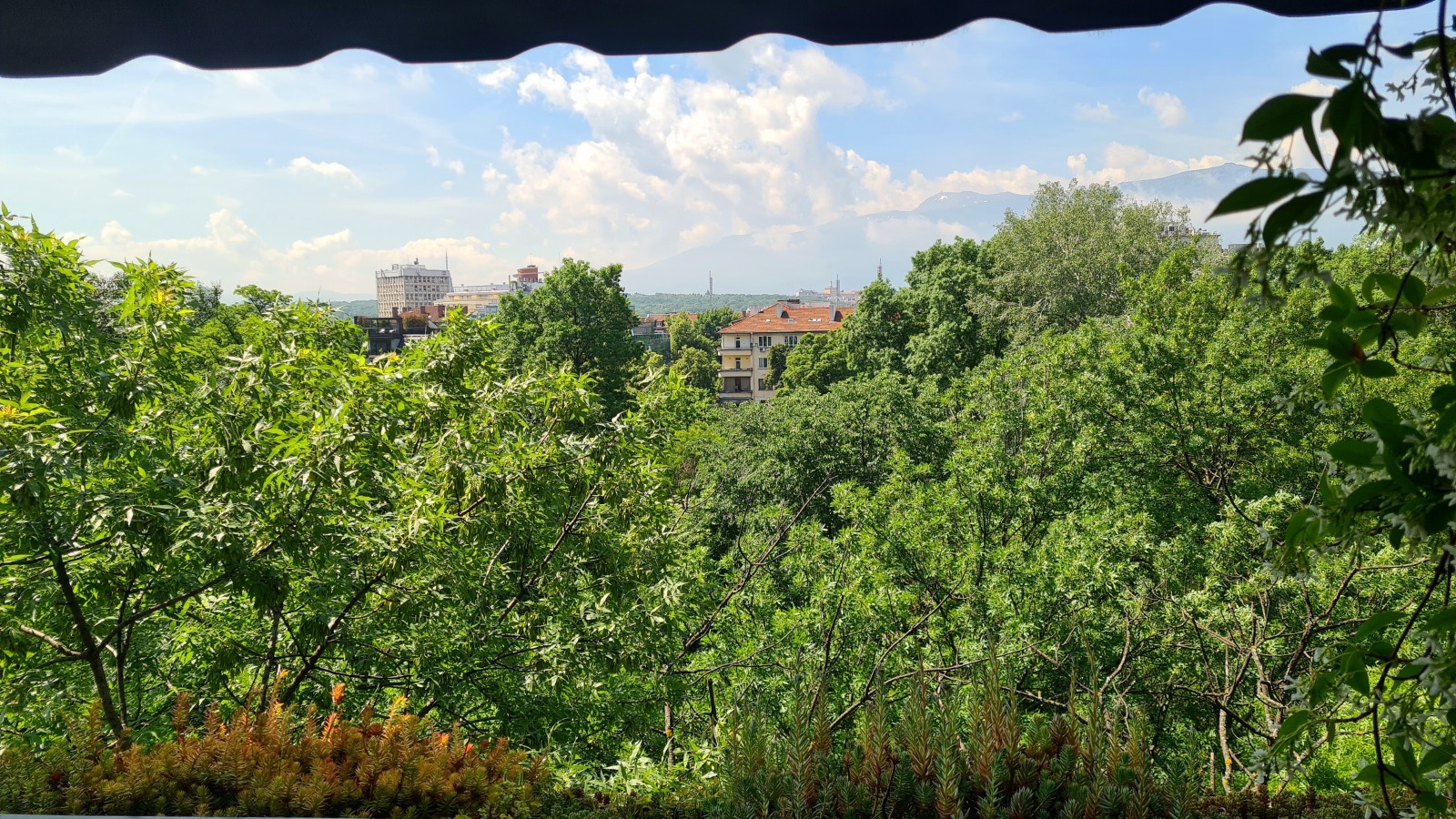 ���� ��� ���� 4-����� | Imot.bg � ����������� 1