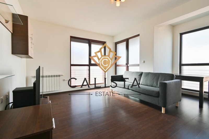 Do wynajęcia  1 sypialnia Sofia , Witosza , 75 mkw | 63435340