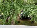 Дава под наем  2-стаен град София , Красна поляна 2 , 46 кв.м | 99728521 - изображение [11]