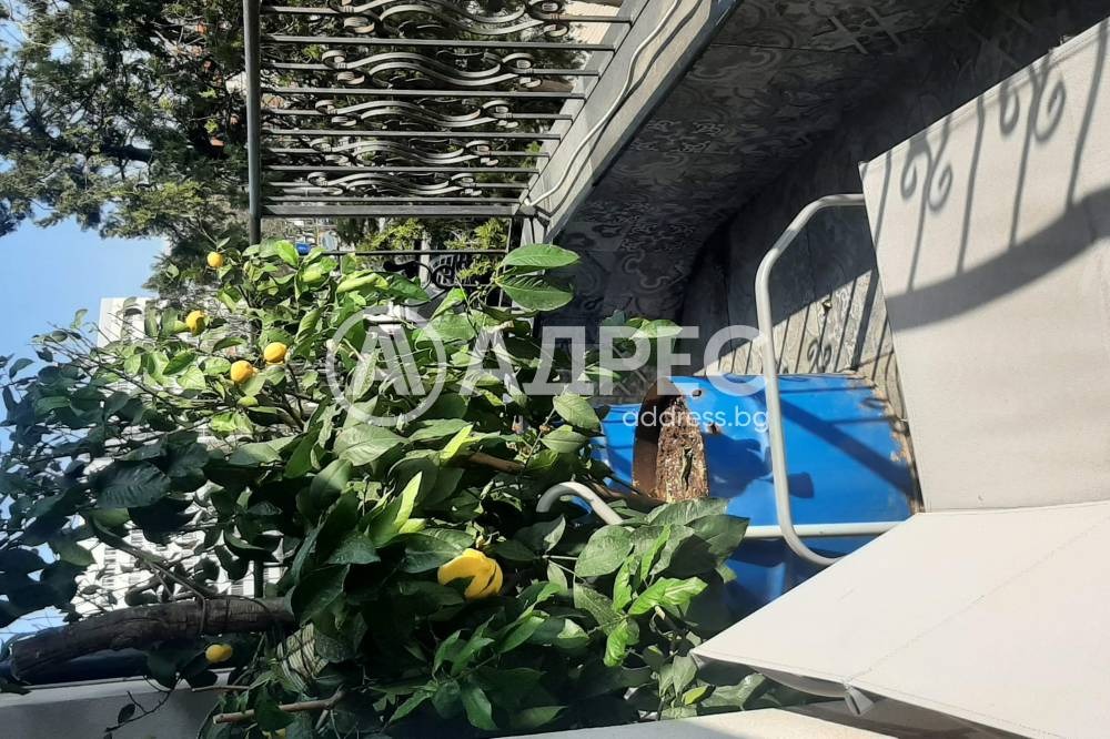 ���� ��� ���� ���� | Imot.bg � ����������� 1