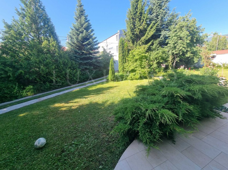 K pronájmu  Dům Sofia , v.z.Malinova dolina , 250 m2 | 12944711 - obraz [7]