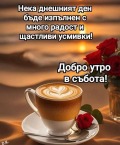 Дава под наем 1-СТАЕН, гр. Плевен, Дружба 3, снимка 4